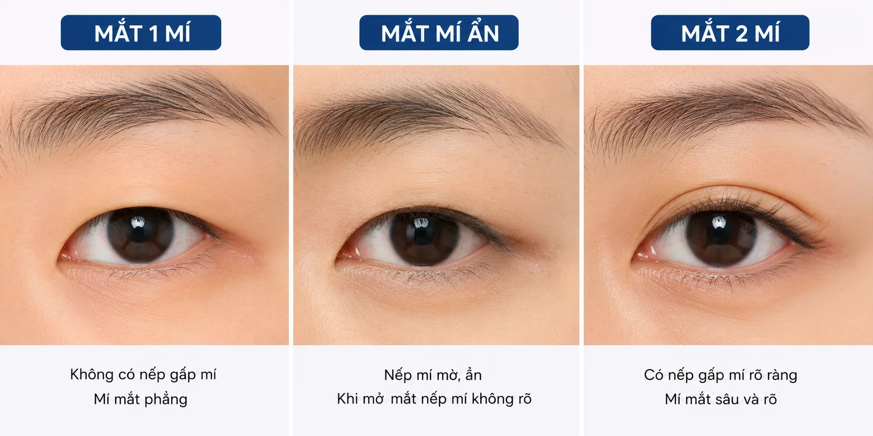 Vở ghi Bài 2- Công nghệ lâm nghiệp thủy sản 12 - Kết nối